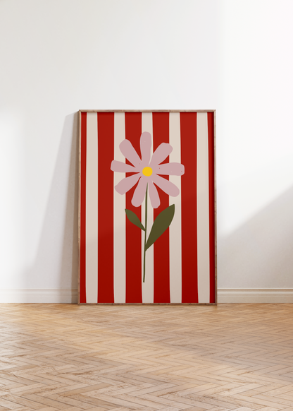 Striped Flower