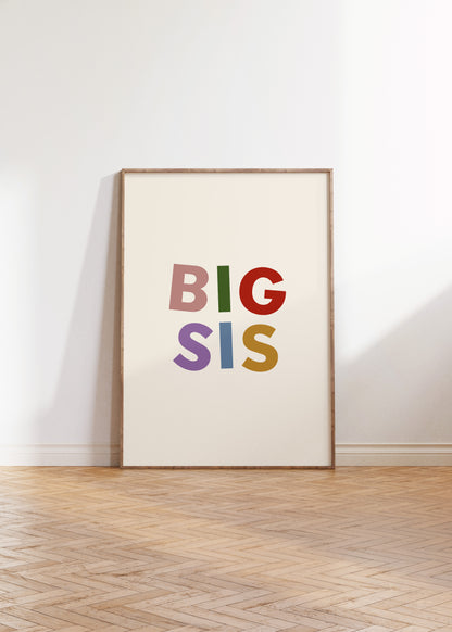 Big Sis Lil Bro